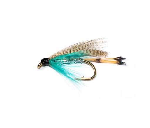 fish fishing flies Teal blue and silver wet fly