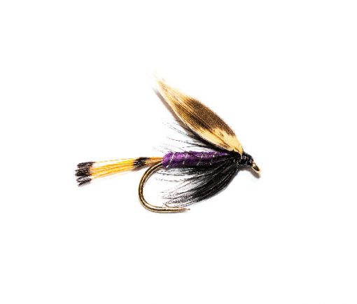 Fish Fishing Flies Woodcock and Purple Wet Fly