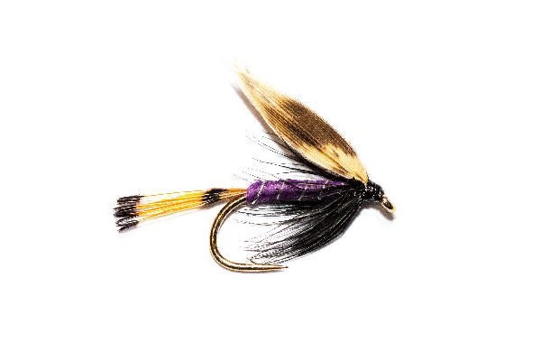 Fish Fishing Flies Woodcock and Purple Wet Fly