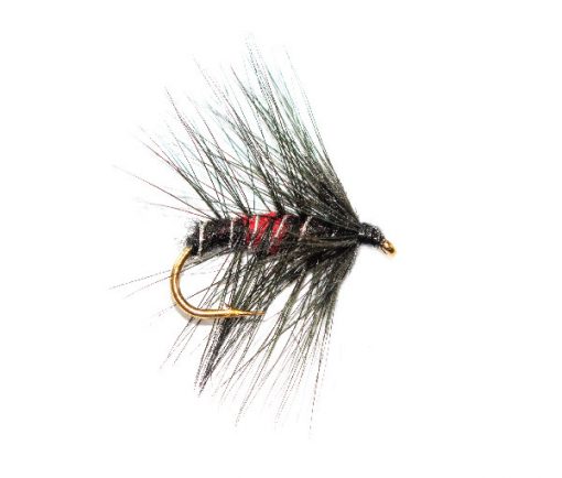 Bibio Wet Fishing Flies