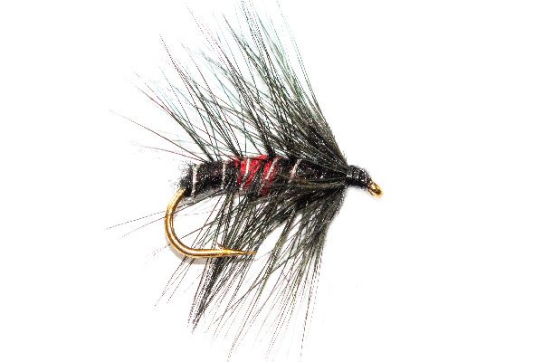 Bibio Wet Fishing Flies