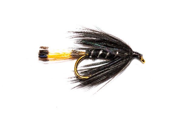 fish fishing flies brand, Black Pennell Wet Fly