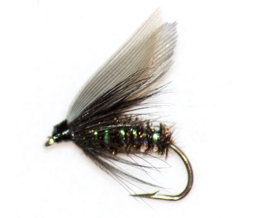 Black Gnat - Image 3