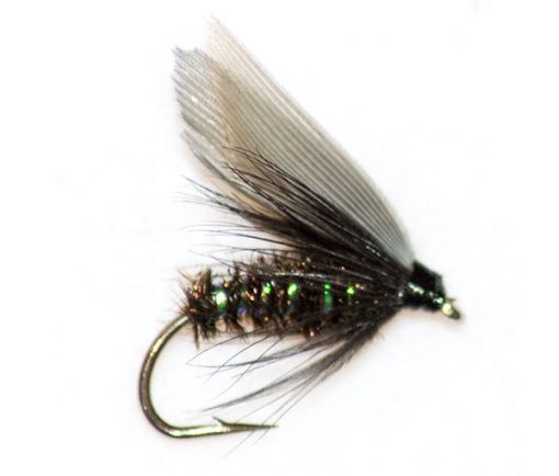 Black Gnat