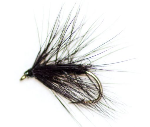 Black palmer - Image 3