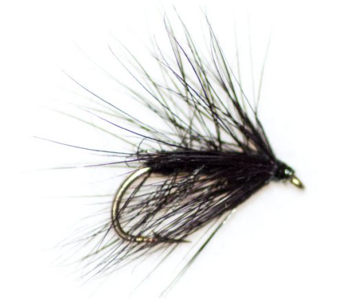 Black palmer