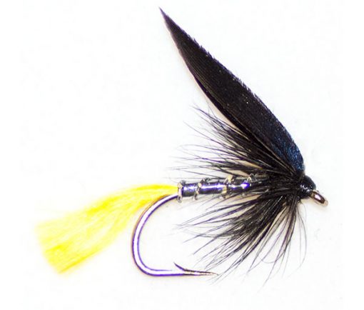 Blae & Silver yellow tail
