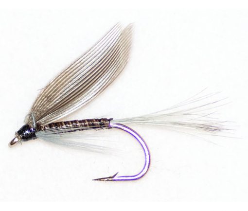 Blue Quill - Image 3