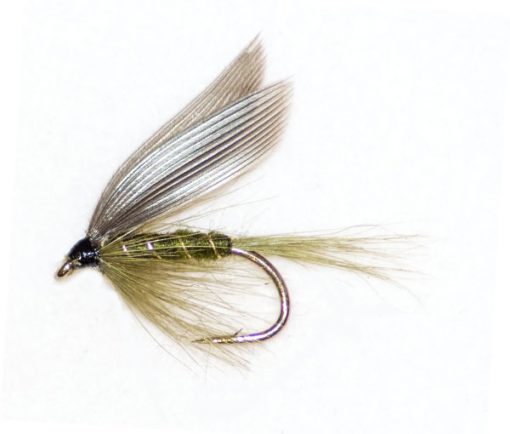 Dark Olive Winged - Image 3