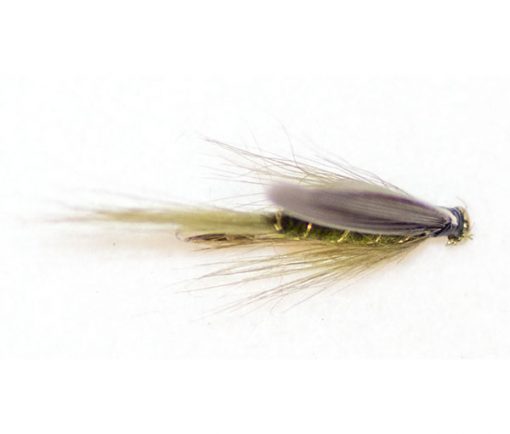 Dark Olive Winged - Image 2