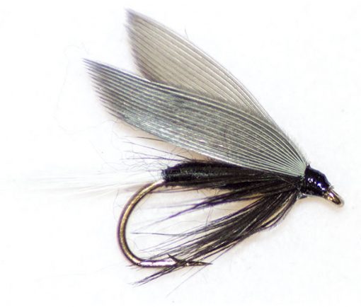 Duck Fly