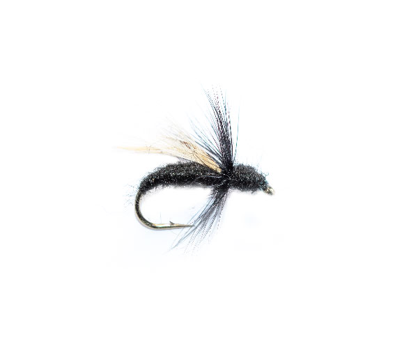 Black flying ant traditional dry fly from the guys at fish fishing flies