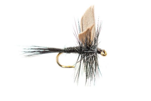 Black Gnat Winged Dry Fly, available at teh Fly Shop Online, Fish Fishing Flies