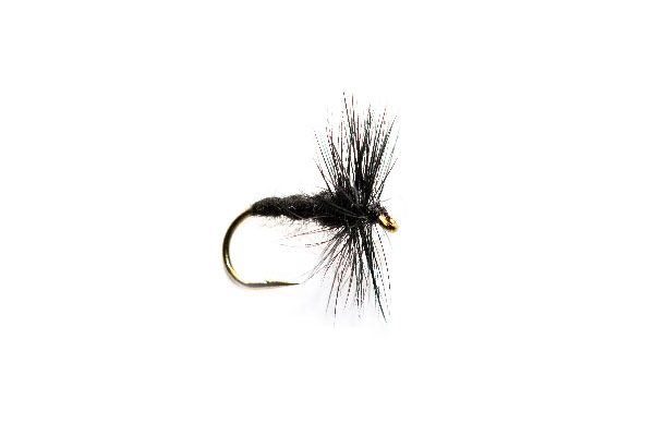 Black Spider Hackle Trout Fishing Fly