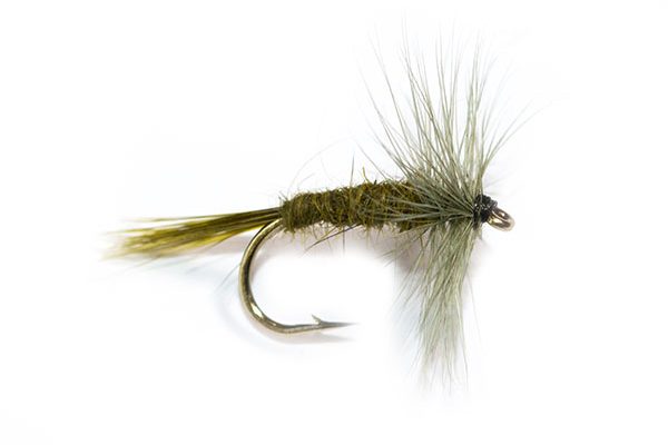 Fish Fishing Flies, Dark Olive Hackle