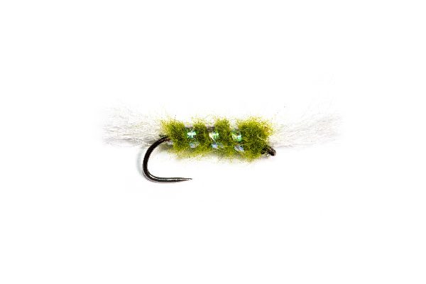 Shipman Buzzer Olive