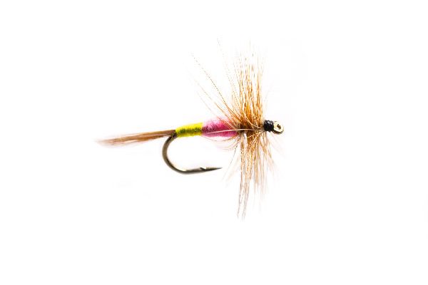 Fish Fishing Flies, Tups Indespensible Dry Fly