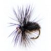 black-and-peacock-hackle-dry-fly-eye-left