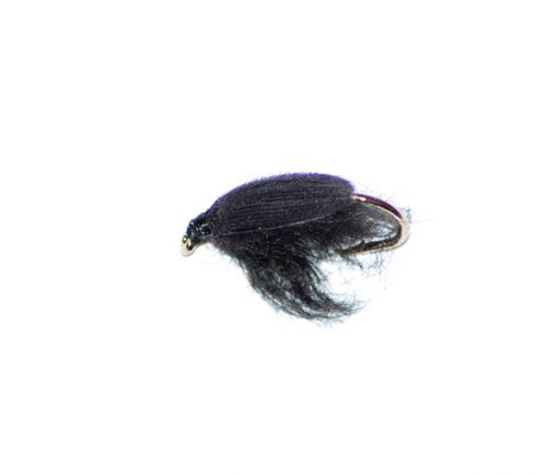 Black Chomper - Image 2