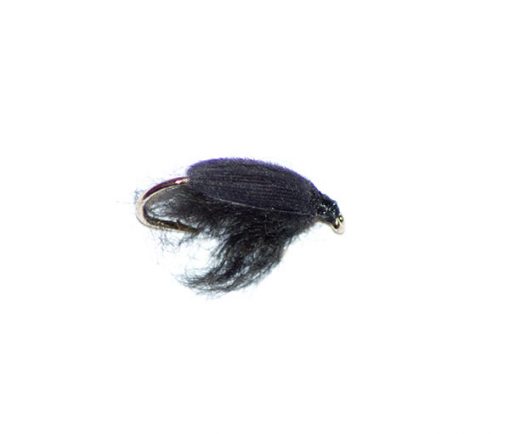 Black Chomper