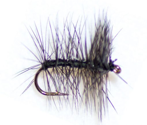 Black Palmer Hackle