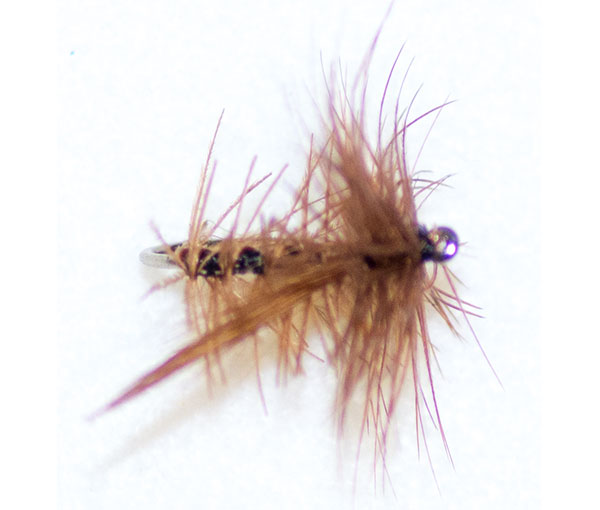 thumbnail image 2 of 18 Sedge Dry Trout Flies – Brown, Silver & Olive Assortment, Size 10 2 of 5