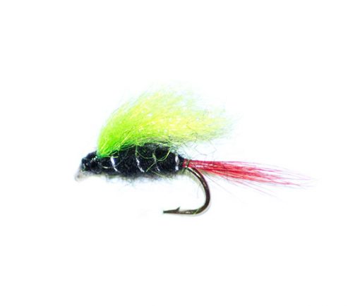 Christmas Tree Nymph - Image 3