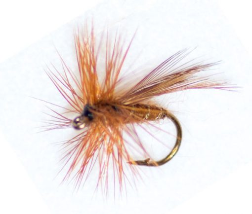 Cinnamon Sedge Winged - Image 2