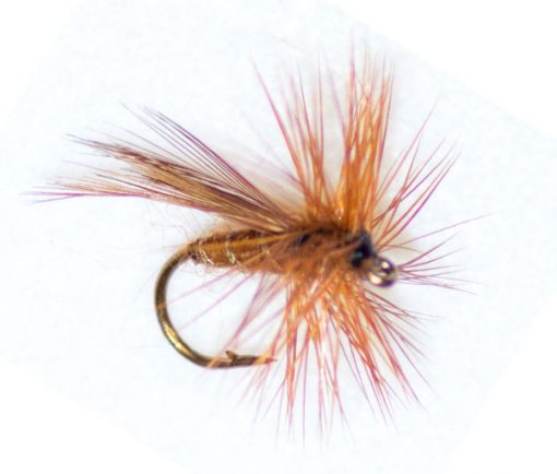 Cinnamon Sedge Winged