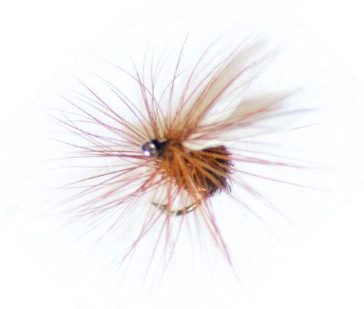 Coachman Winged - Image 2