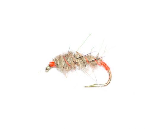 Hotspot Hares Ear - Image 2