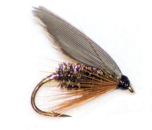 Leadwing Coachman