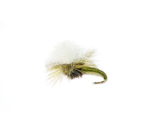 Olive Parachute - Image 2