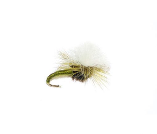 Olive Parachute