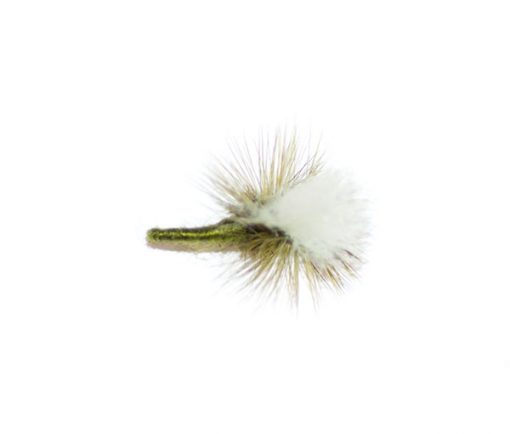 Olive Parachute - Image 3