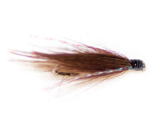 Pearly Dabbler - Image 2