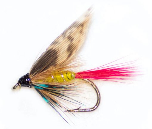 Red Tail Invicta - Image 2