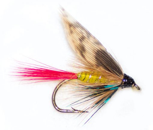 Red Tail Invicta