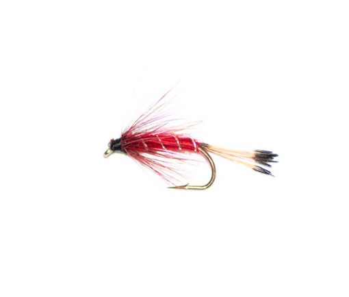 Red Throat Emerger - Image 2