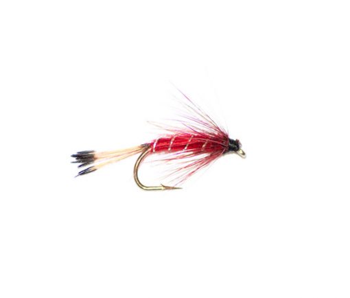 Red Throat Emerger