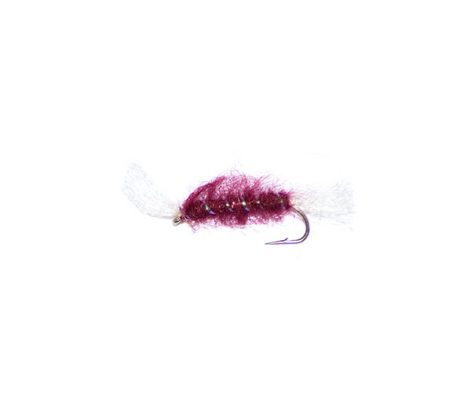 Shipan Buzzer Fishing Fly, 8 Per Pack, White Shipan Buzzers ixed 12