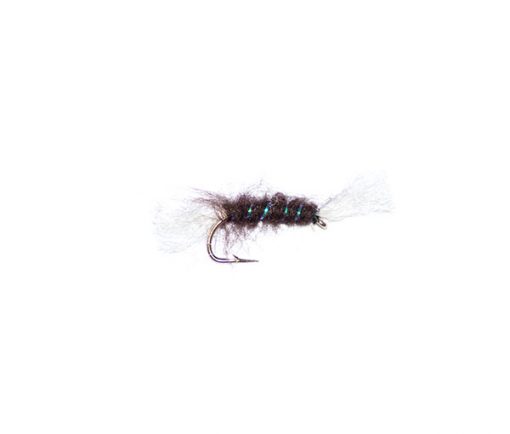 Shipman Buzzer Dark Brown