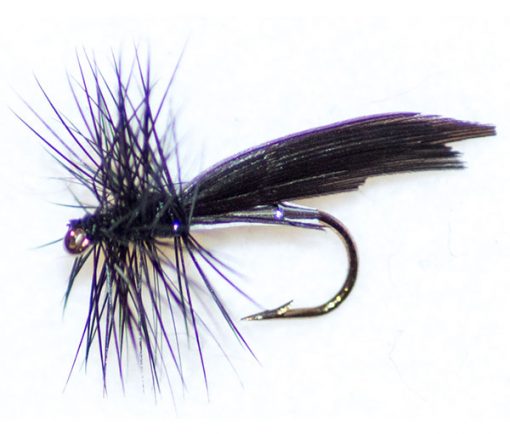 Silver Sedge Winged - Image 2
