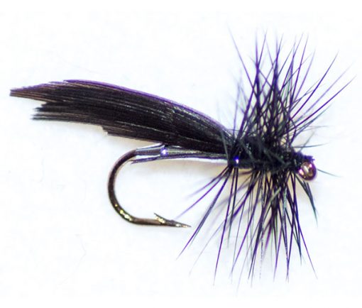 Silver Sedge Winged