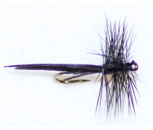Silver Sedge Winged - Image 3