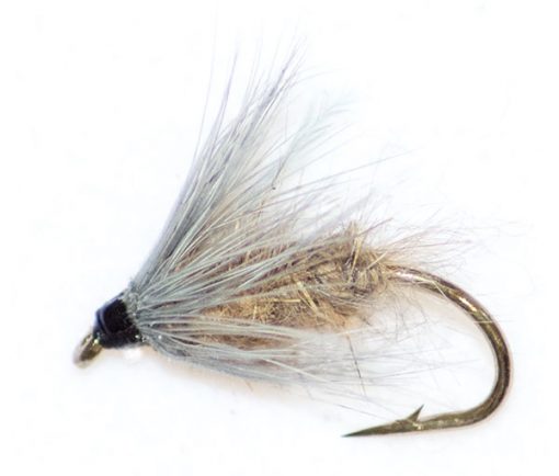 Waterhen Bloa - Image 2