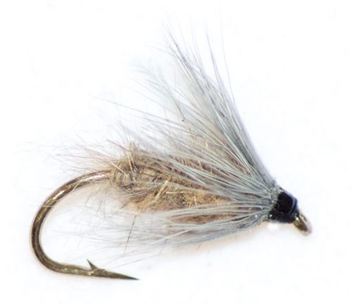 Waterhen Bloa