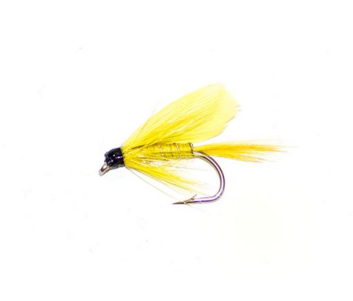Yellow Sally - Image 2