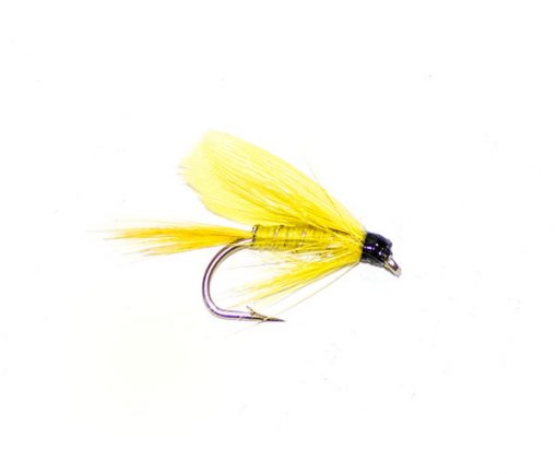 Yellow Sally