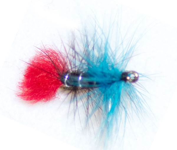 Which dry fly for trout? – Blue Zulu Fly Fishing